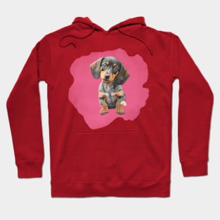 Dachshund Puppy Smooth Coat Hoodie